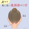 髪が頭のツボで甦った 髪が頭のツボで甦った 髪が頭のツボで甦った