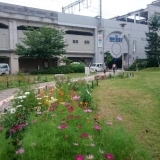阪神西宮駅と小さなお花畑