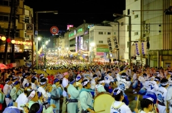 街中が、観客と踊り子で溢れかえる徳島の夏の夜。