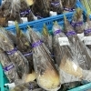 地元 木曽産『たけのこ』入荷します！ | 道の駅木曽福島の