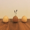 image.php?id=2464965&p=shopn&s