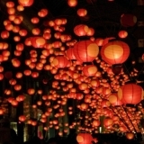 山口七夕ちょうちん祭り [山口市 夏祭り]