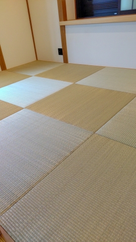 大分県産青表使用「琉球畳」「琉球畳　大分県国東で栽培、収穫後半動力による手織りされた「青表」を半畳の畳床に巻きつける様に縫い付けた日本国産琉球畳の施工いたします！当店は日本国産畳材料を使用した畳の施工にずっとこだわります。」