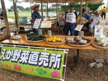 平日10：00～15：00まで販売しています。1,000円で指定のカゴ一杯の野菜狩りも楽しめます。