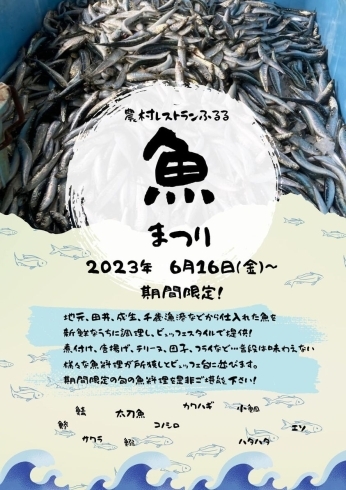 「6月16日(金)〜魚まつり開催！！！」