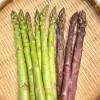 信州産　アスパラガス　3kg green_3l_1000.jpg?fitin=720:720
