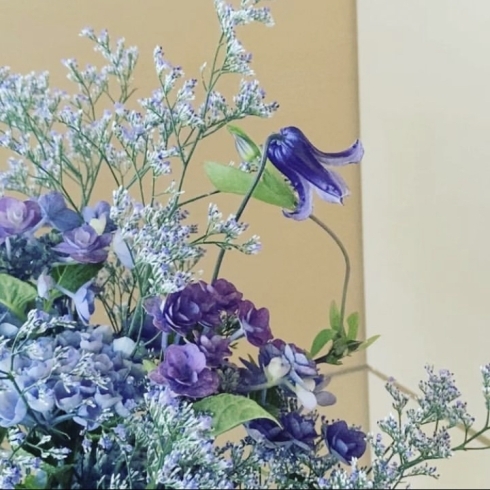 紫の紫陽花とクレマチス「クレマチス」