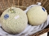 メロン 約4.5kg おまかせ つがる青肉メロン 青森産 送料無料