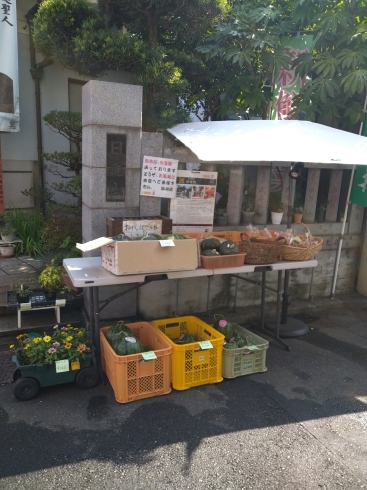 野菜販売所「日蓮宗妙栄院野菜販売所」