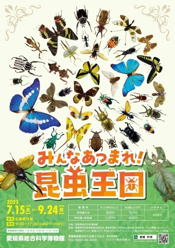 「夏休みに出かけたいイベント 愛媛県総合科学博物館 特別展「みんなあつまれ昆虫王国」」