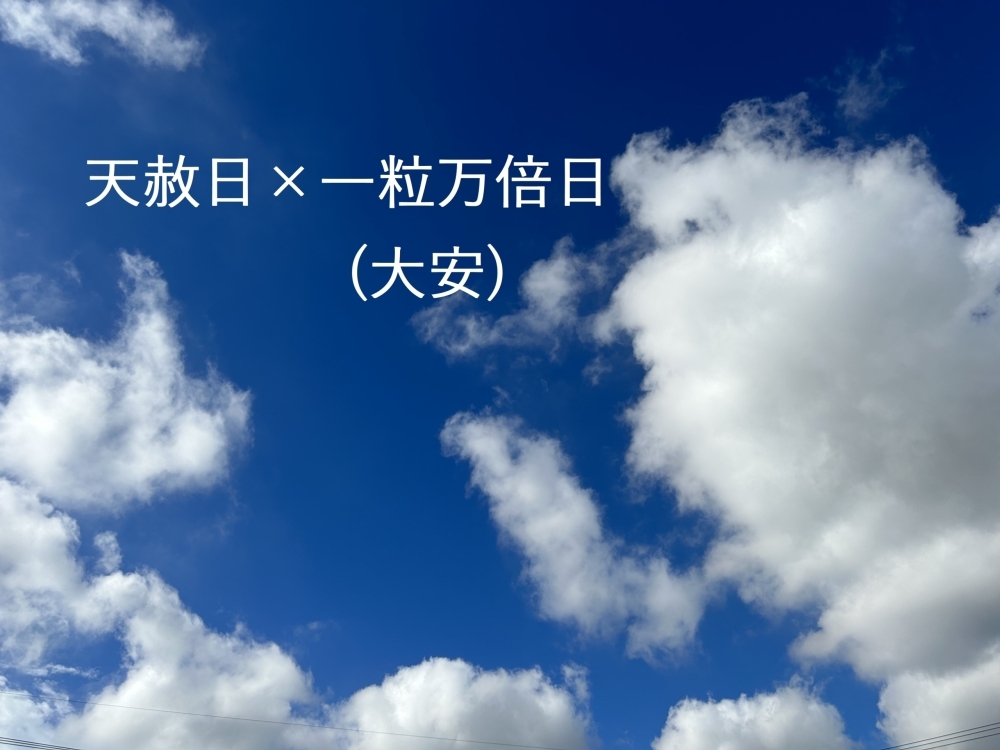 天赦日×一粒万倍日、そして大安。今日も暑いですね… | 株式会社ニューウェイブのニュース | まいぷれ[新居浜市]