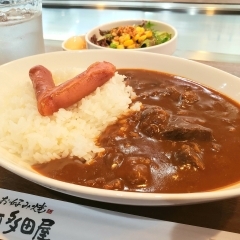 【インカレー食べてる⁉️】間もなく開幕するインカレ　ソフトボールの聖地デンソーブライトペガサススタジアム＆煮込まれたホロホロの牛スジが美味しい『お好み焼き 三河多田屋』さんにまいぷれ安城市スタッフが行ってきました！