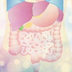 夏バテ予防はお腹から◇8月は胃腸の働きを整えましょう