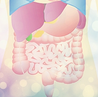 夏バテ予防には胃腸の働きを整えましょう「夏バテ予防はお腹から◇8月は胃腸の働きを整えましょう」