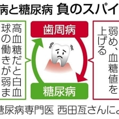 歯周病が全身の病気を引き起こすって本当？  フェアリ歯科です