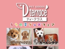 イベントのご案内です。9月6日(水)から12日(火)までうちの子グッズフェア【伊勢丹立川店のペットグッズ】