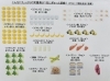 朝飲むと元気がでてメラニンの活動も抑える ネクステージC
