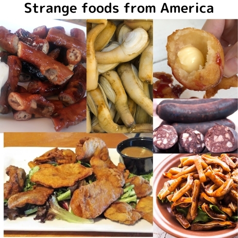 Strange foods from the US「Teacher'sコーナー161号 Strange foods in America【千葉のならいごと　英会話スクール】」