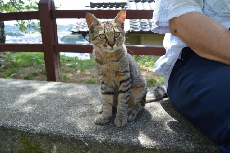 人馴れしてる子は、こんな感じでお隣に来てくれることも・・・！