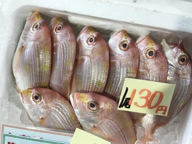 「魚魚市場鮮魚コーナーおすすめは「キッコリ」です♪」