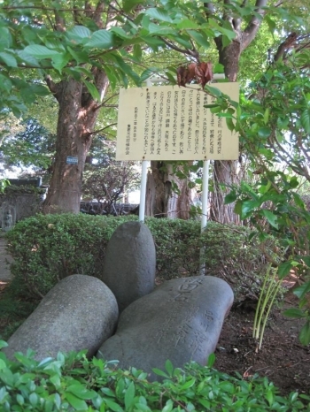 にぎやかな祭礼の日、村の若衆たちが大きな石をもちあげて力を競い合ったという「力石」。<br>