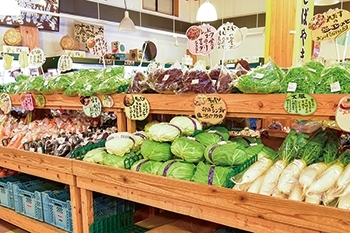 道の駅「風和里しばやま」　新鮮野菜