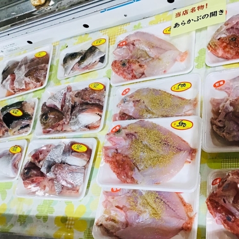 「魚魚市場鮮魚コーナーおすすめは「赤マテ貝」です♪」