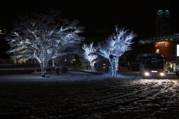 舞鶴の雪イルミネーション。雪でも奮闘する京都交通バス「京都交通株式会社」