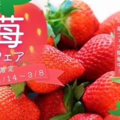 開催日:2/14(土) ~ 3/8(日):積水ハウス株式会社 愛媛支店 ホービス新居浜