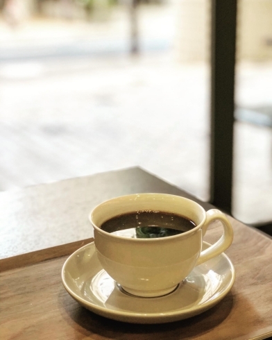「津田沼南口  モリシアの珈琲豆専門店【グリーン珈琲焙煎所】 珍しい、 ブラジルのコーヒー2019年度新豆が限定入荷しました♪お試しください。」