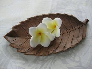 ハワイの花、プルメリア