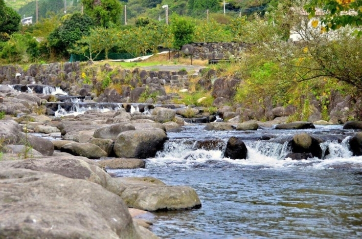 長泉町を流れる桃沢川は公園の一部として多くの町民に愛される憩いの場です。