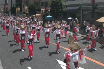 ふなばし市民まつりでの阿波踊り。<br>一糸乱れぬ踊りは練習の賜物だそう。