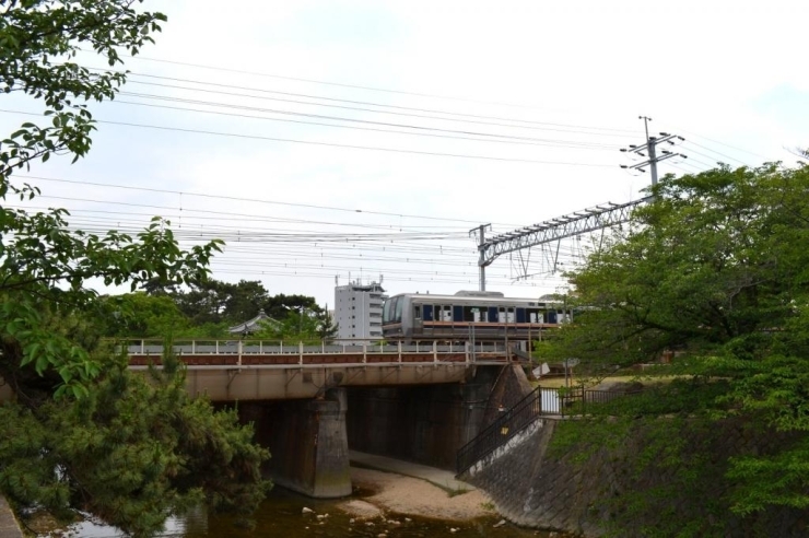 新緑から顔をのぞかせるJR線もまたいい風景。