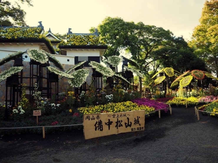 今、楽寿園では「菊まつり」が行われています。晩秋の日差しに誘われ園内を歩いてみました。