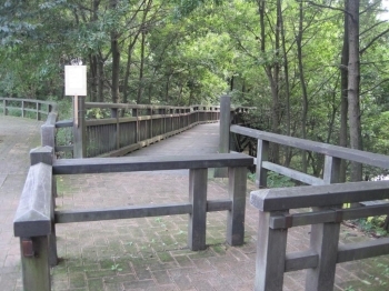 木漏れ日が綺麗な小道になっています。