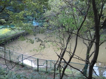 まず1つめの「堤入池」発見!