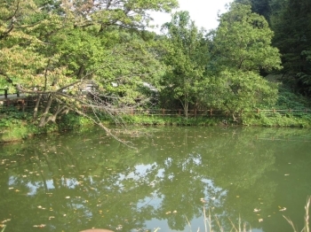 龍ヶ谷池のある場所は、小さな丘になっている。