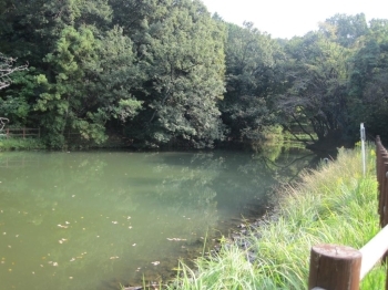 池のほとりには、小さなあずまやもあって、休憩できるようになっていた。