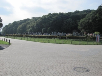 水の広場から見た風景。広いなぁー。