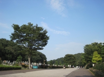 青空と緑、ご先祖様もここならのんびり眠れそう。