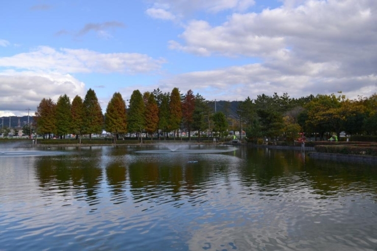 午後にはこのように爽やかな天気になりました！