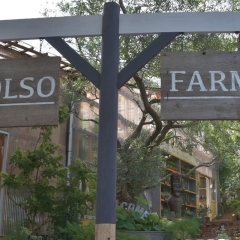 ガーデニングファン必見! 宮前区野川の「SOLSO FARM(ソルソファーム)」