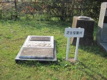 芝生型墓所の見本