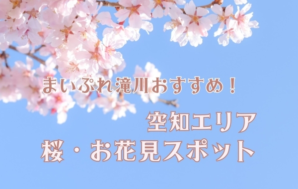 お花見するならここ！　滝川・砂川・芦別・奈井江・空知エリアの“桜”特集【2024年】