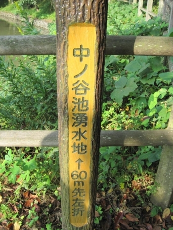 矢印がある以上、行かないとね…