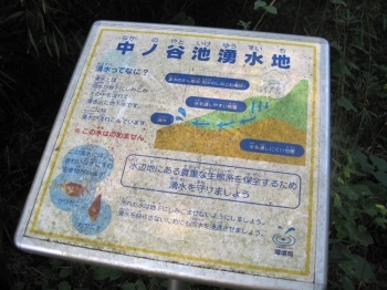 一番奥にあった、遊水地の説明<br>