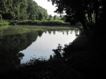 湧水地から見た「中ノ池」。<br>夕方になってきて暗いし、こわい。