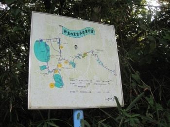 柿生の里散歩道の地図。<br>早野以外のエリアもまだまだあるのだ。
