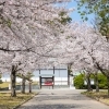 徳島中央公園